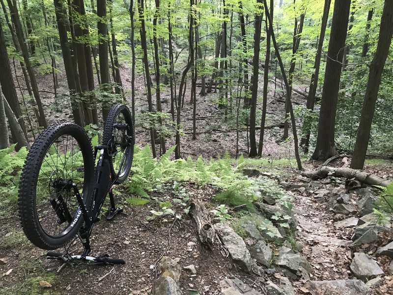 harriman state park bike trails