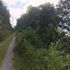 Trail