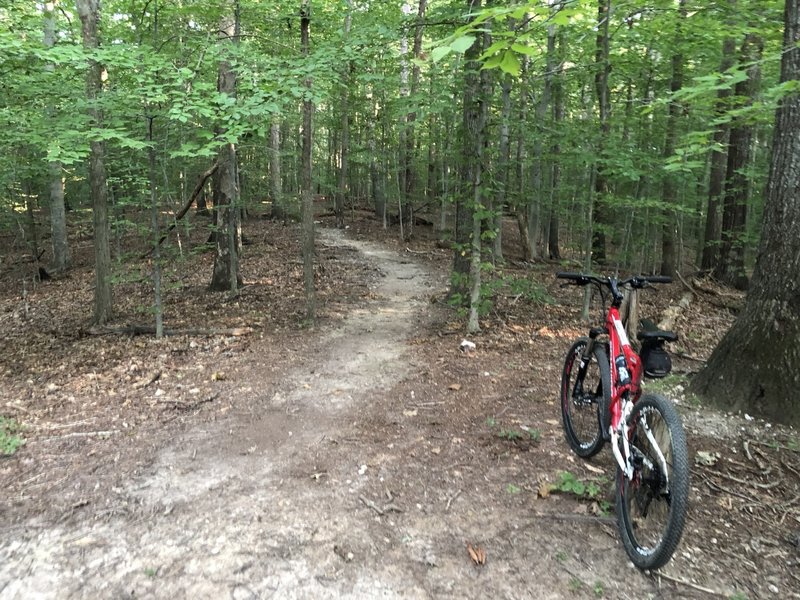 Neabsco Greenway Trail Mountain Bike Trail Dale City Virginia