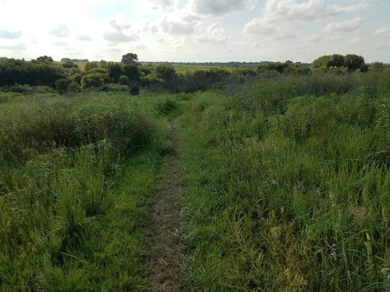 oak valley mtb trails