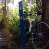 Orlando Mountain Bike Park's trail options.