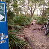 Orlando Mountain Bike Park's "Root of All Evil" option.