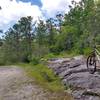 Panthertown Valley Trail at Salt Gap scenic overlook.