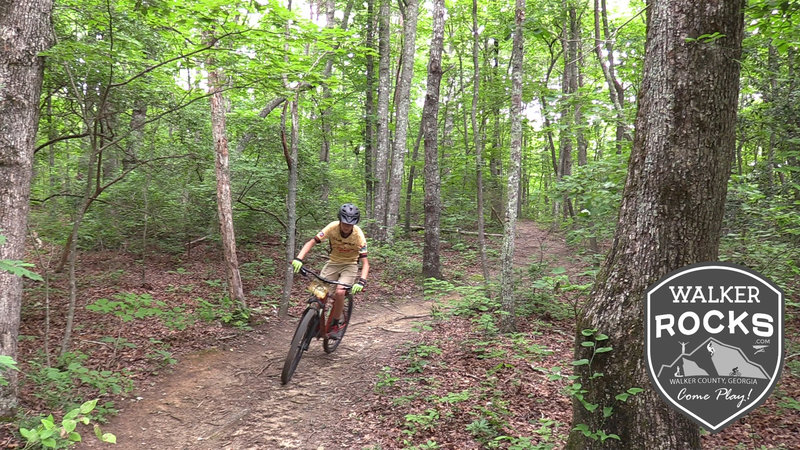 Cloudland canyon mountain biking sale