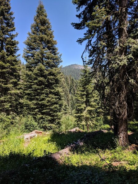 Sturgis Fork #903