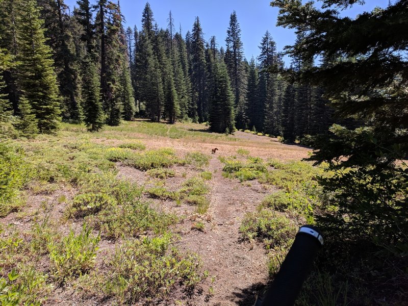 Boundary Trail #1207