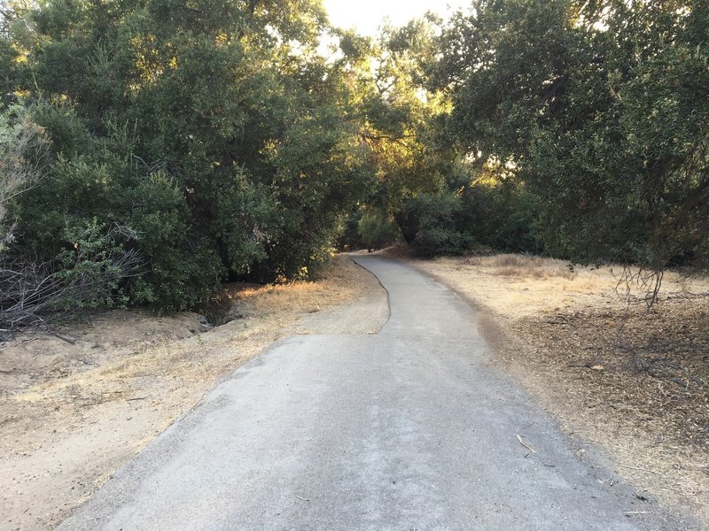 Deer Canyon Maintenance Road