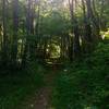 Start of Kit trail