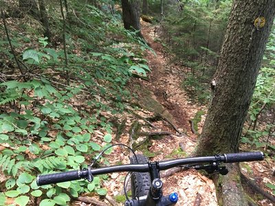 black river mountain bike