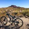 TRW Trail with Red Mountain in the background. Mesa, Arizona