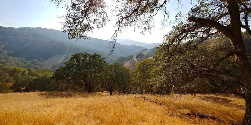 Lisa Killough Trail