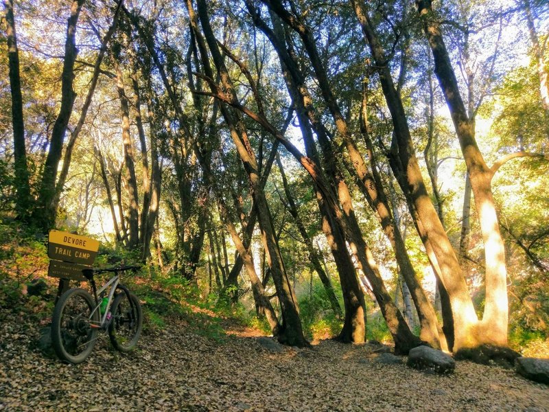 devore trail camp