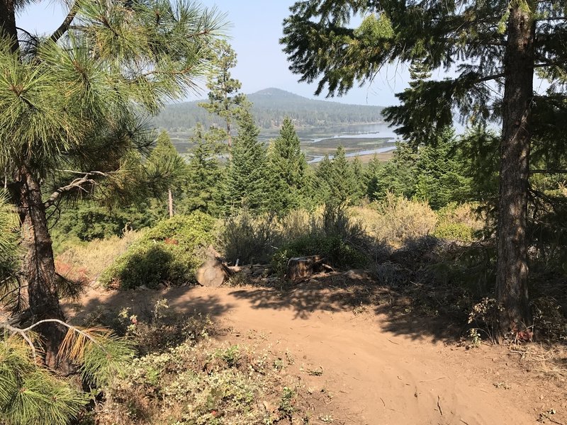 Shoalwater Trail