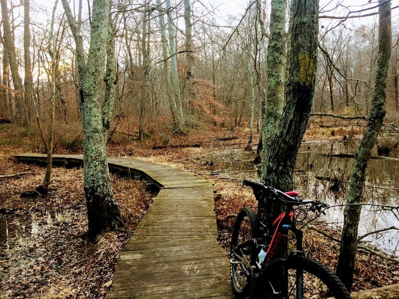 Spicebush Trail Mountain Bike Trail, Kettering, Maryland