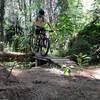 We don't cut trees, we build ramps to ride over!
