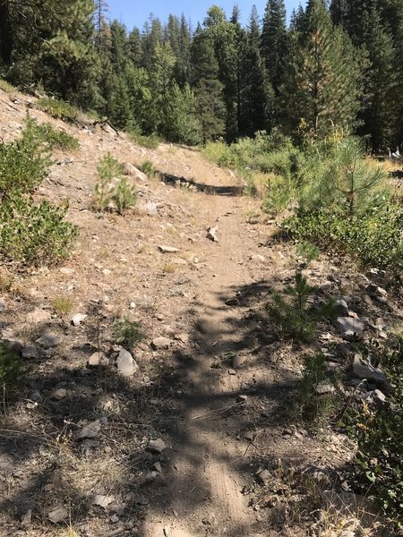Cottonwood Loop
