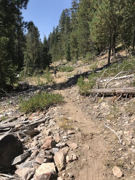 Trail