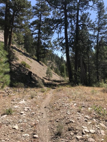 More trail