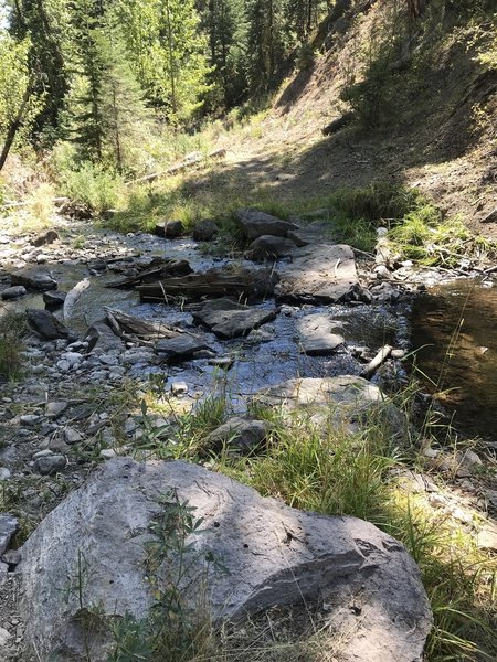 Cottonwood Creek Trail