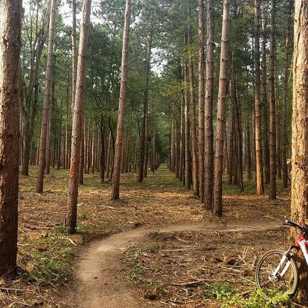 john muir mountain bike trails