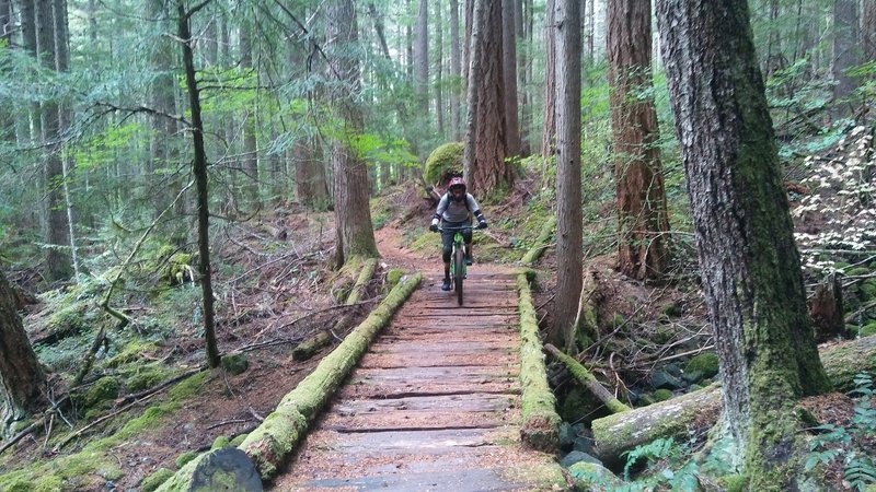 White River Trail #1199