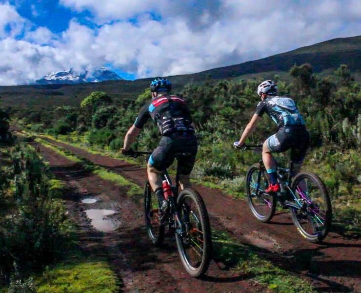 kilimanjaro mtb pro