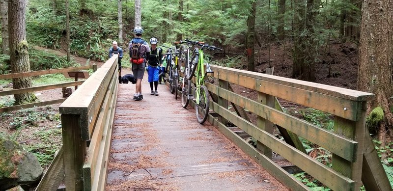 Cold Creek Trail