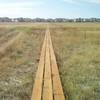 Boardwalk