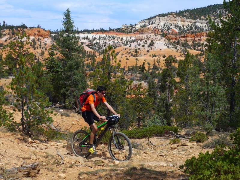 Cassidy Trail 33093 Mountain Bike Trail, Panguitch, Utah