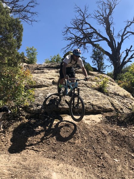 hidden valley mountain bike trails