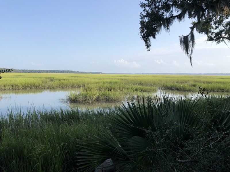 Priests Landing Trail Mountain Bike Trail, Skidaway Island, Georgia