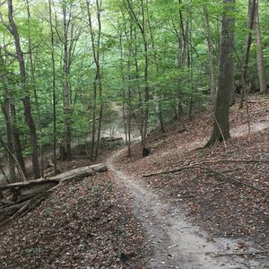 Mountain Bike Trails near Bloomer Park