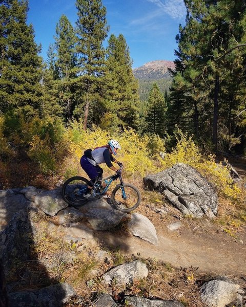 jug mountain biking