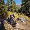 Top of Berm & Ernie