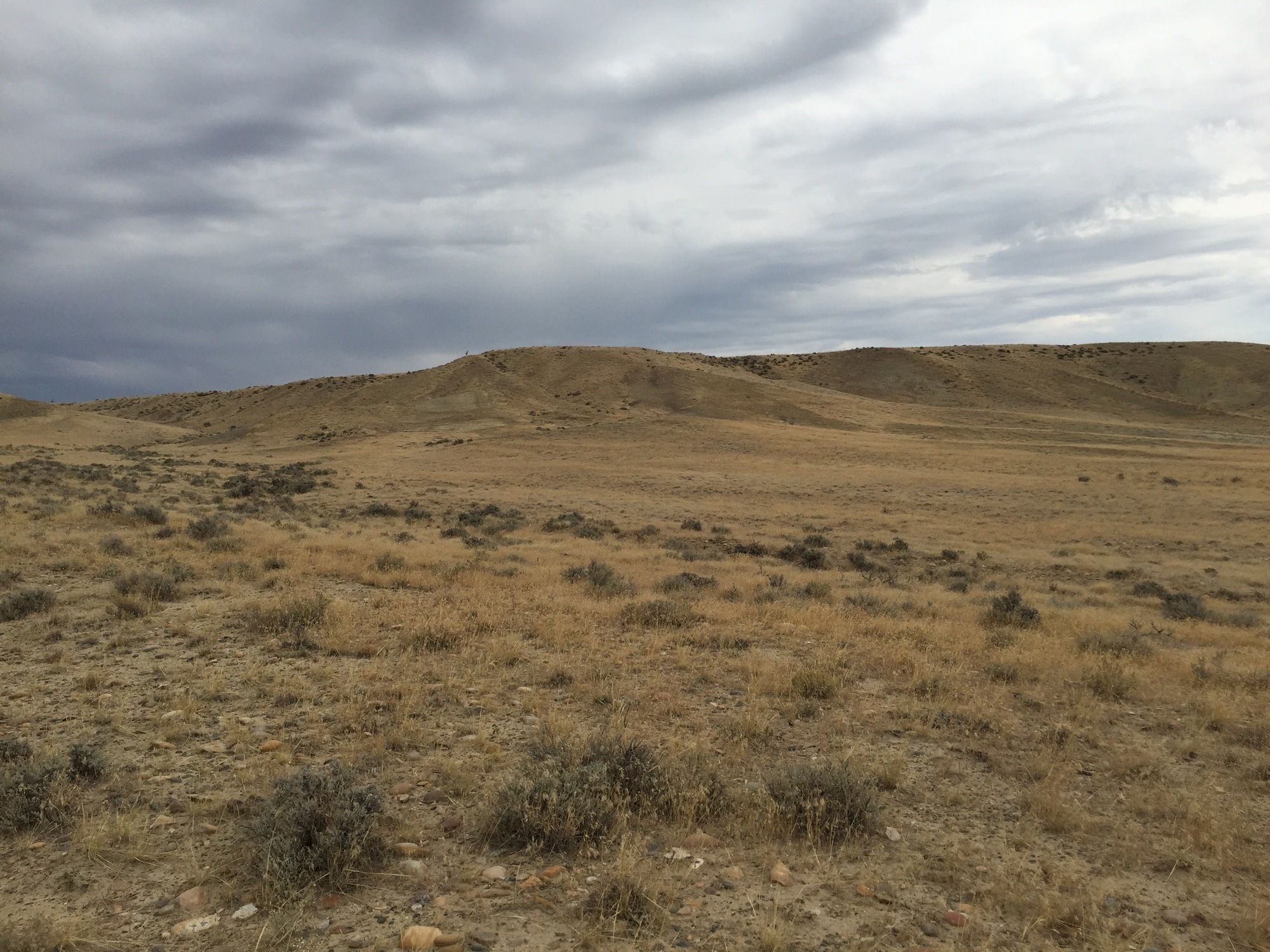 BLM scenery. Can't quite see the antelope in the picture.