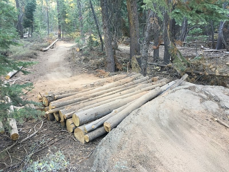 Big Chief Trail (Lower)