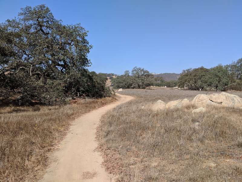 Sylvan Meadows Road