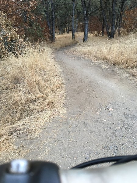Lake Folsom trail