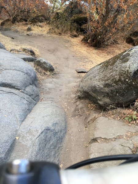 Lake Folsom trail