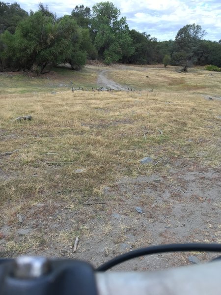 Lake Folsom trail