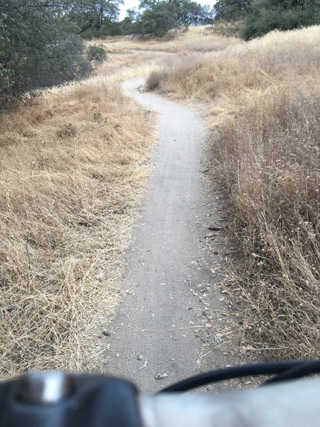 Lake Folsom trail