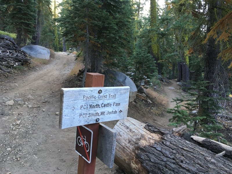 Donner Lake Rim Trail
