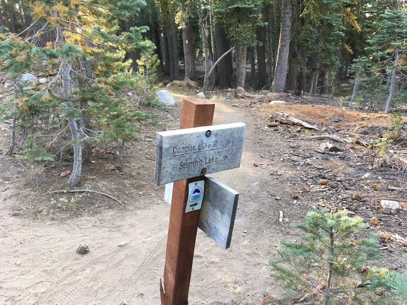 Donner Lake Rim Trail