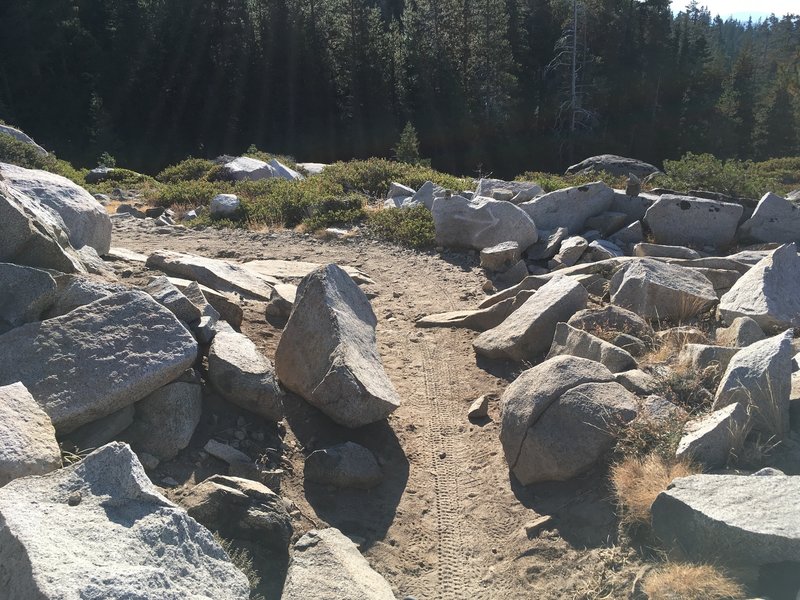 Donner Lake Rim Trail
