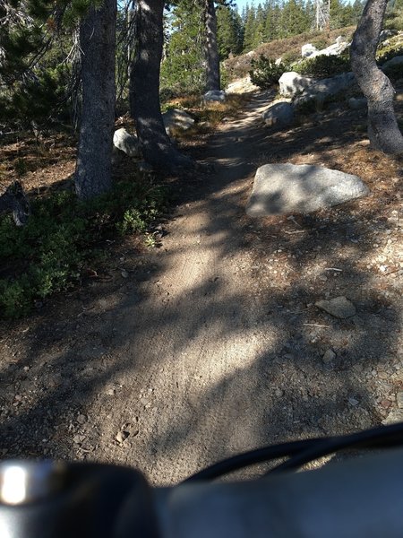 Donner Lake Rim Trail