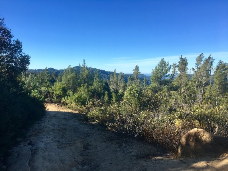 Middle Ridge Road