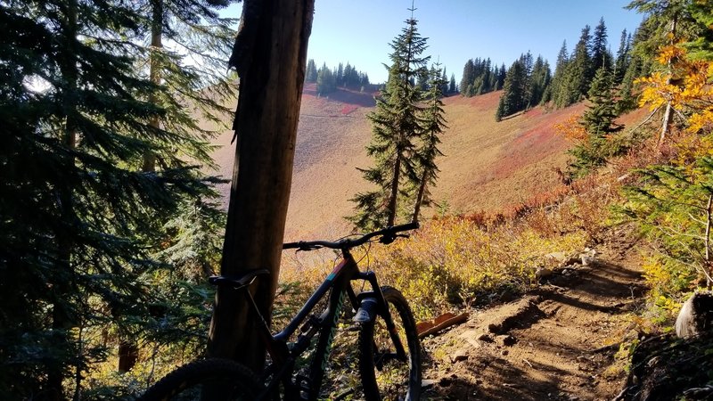 Alpine Baldy