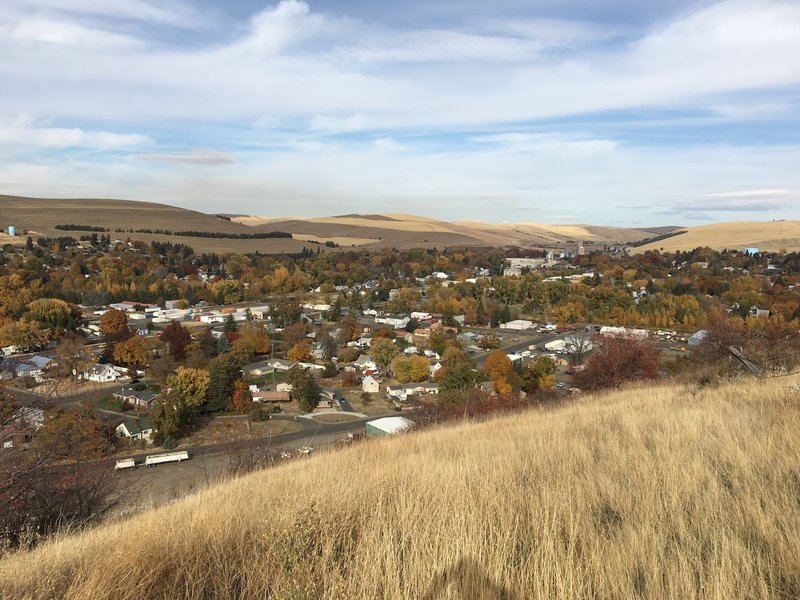 Doug's Trail