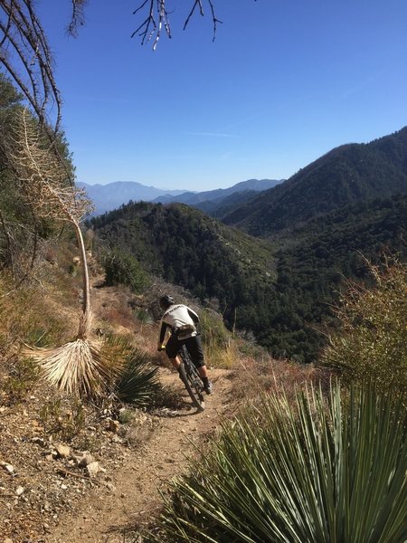 valley forge trail camp