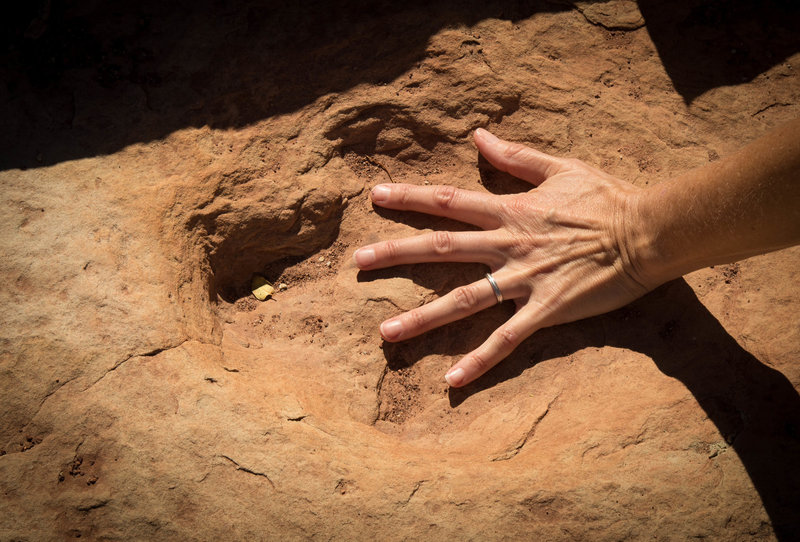 dinosaur track